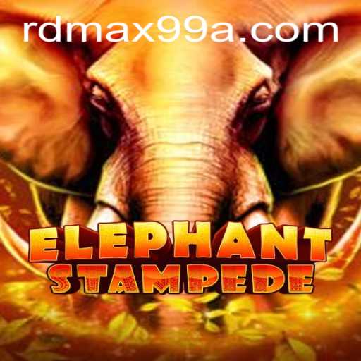 ElephantStampede: A Deep Dive into Its Features and Rules
